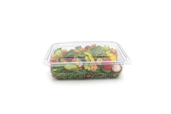 1500ml Rectangle Hinged Salad Container Closed V2