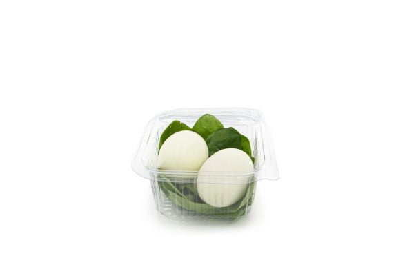 375ml Square Hinged Salad Container Open V2