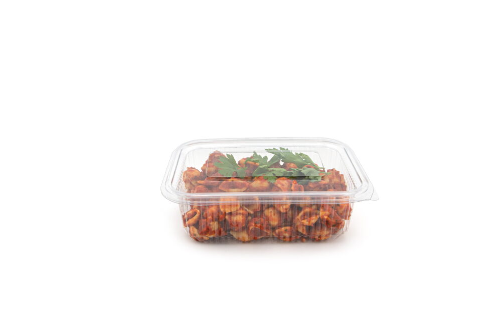 750ml Rectangle Hinged Salad Container Closed V2