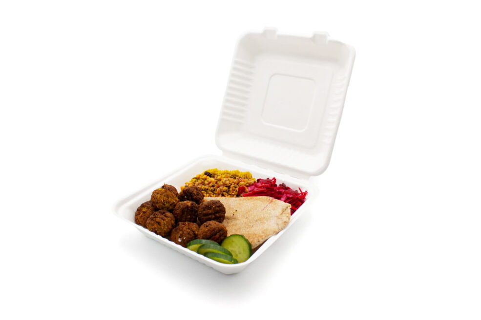 Bagasse Meal Box 9 X 9 Inch With Food