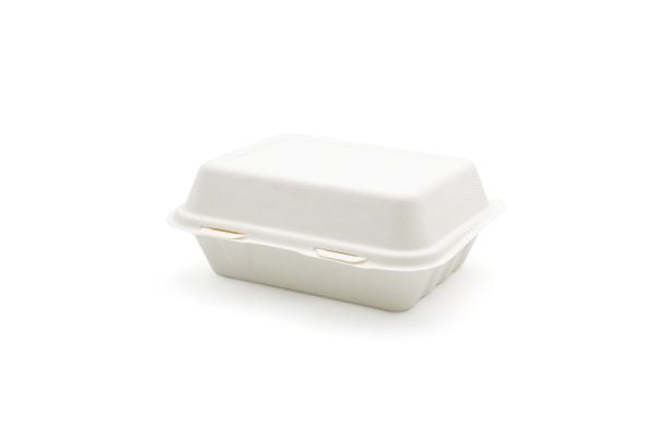 Small Bagasse Meal Box Closed