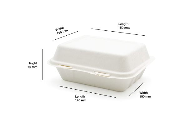 Bagasse_small