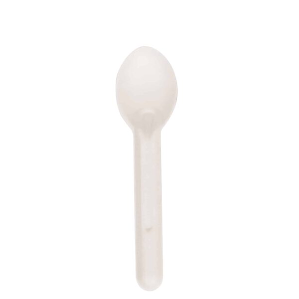Bagasse Spoon