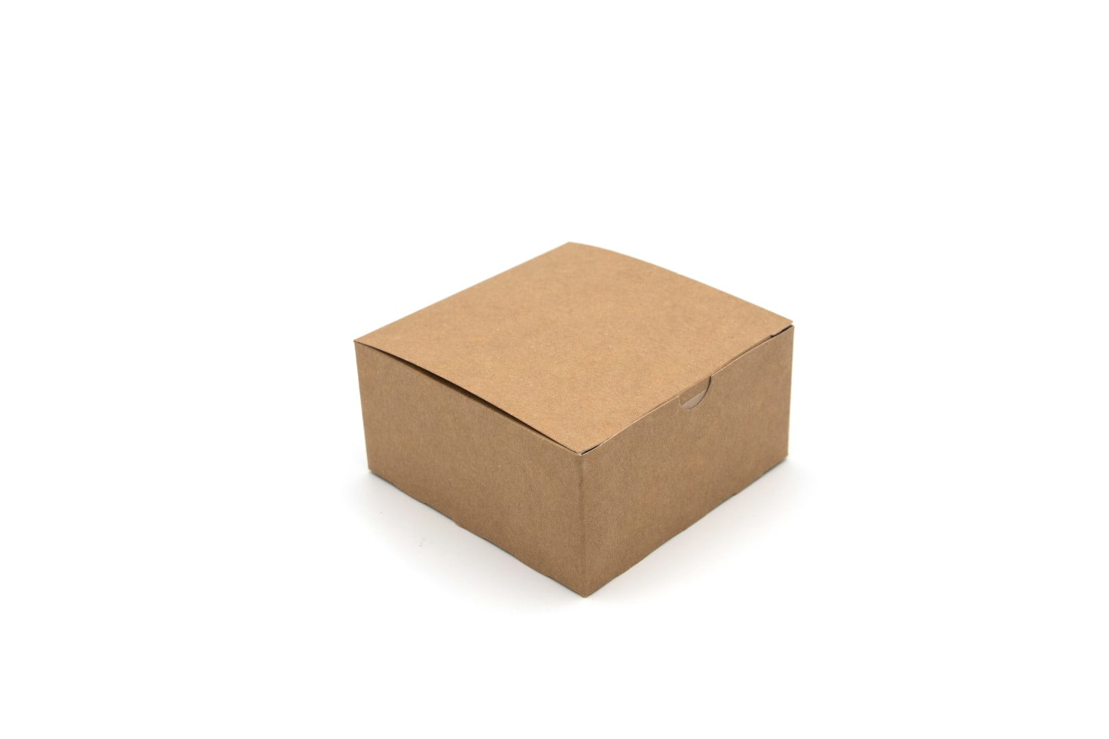 Details about   X25 Burger Boxes compostable board recyclable biodegradable the green effect new 